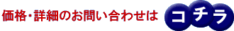 iEڍׂ̂₢킹̓R`